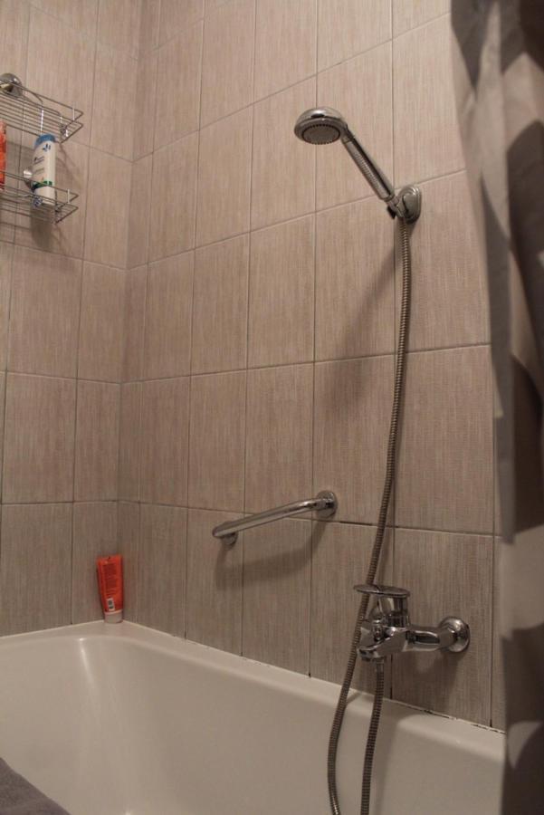 Studio Apartman Ivano Apartment Dakovo Exterior photo